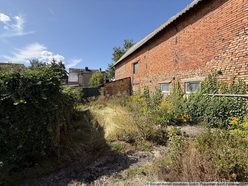 Immobilienmakler Erfurt: Garten2