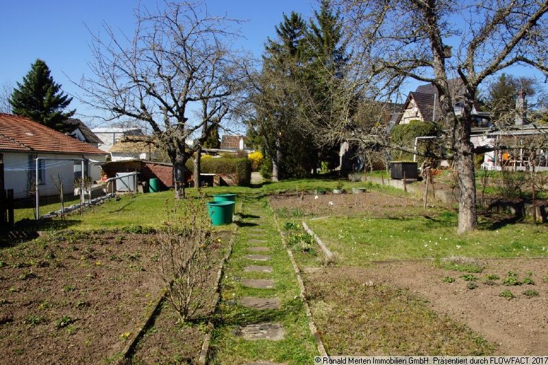 Immobilienmakler Erfurt: Grundstück Bild 2