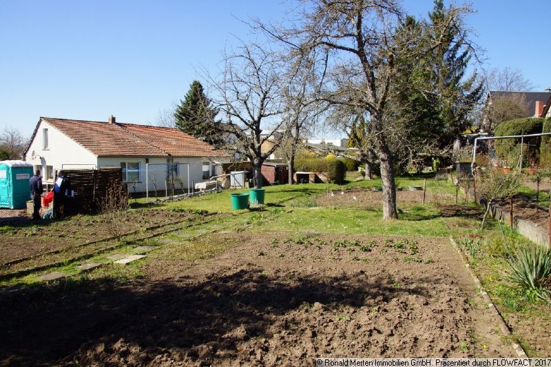 Immobilienmakler Erfurt: Grundstück Bild 3