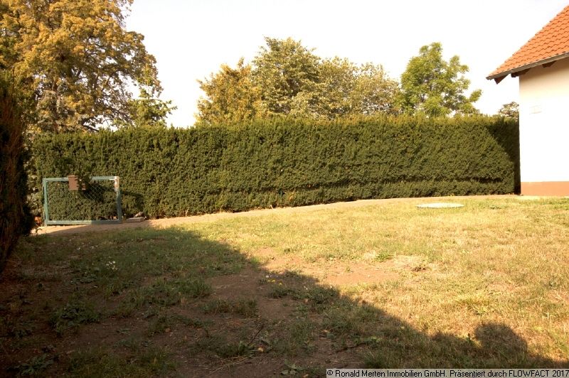 Immobilienmakler Erfurt: Gartenbereich