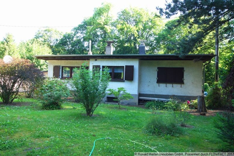 Immobilienmakler Erfurt: Rückansicht