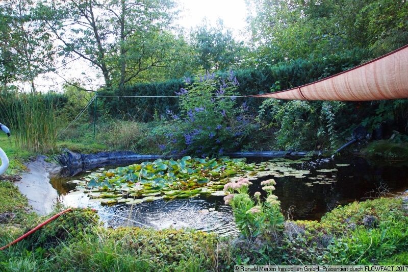 Immobilienmakler Erfurt: Aussen Fischteich