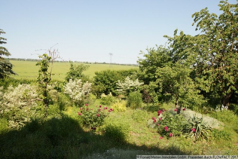 Immobilienmakler Erfurt: Wohnzimmer Blick vom Balkon