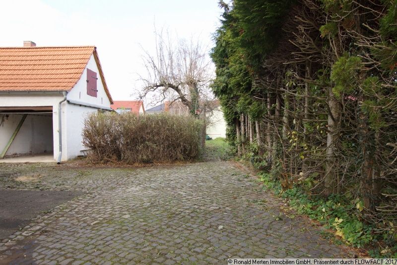 Immobilienmakler Erfurt: Grundstück nach Freischnitt