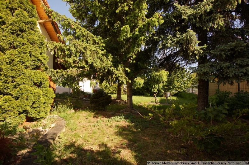 Immobilienmakler Erfurt: Garten Bild 1