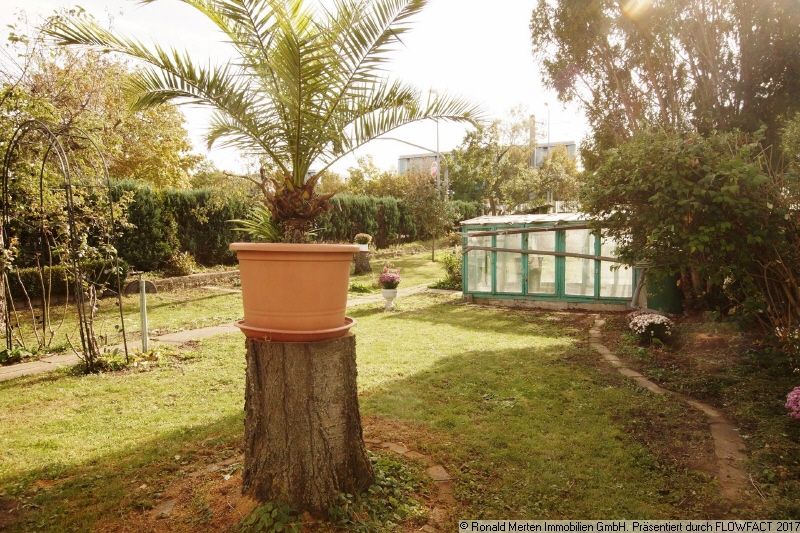 Immobilienmakler Erfurt: Garten Detail