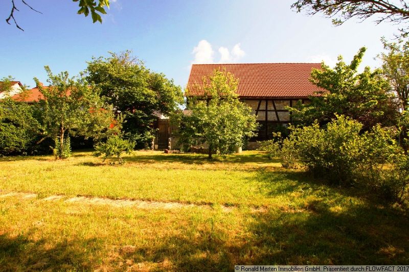 Immobilienmakler Erfurt: Garten mit Rückseite Scheune