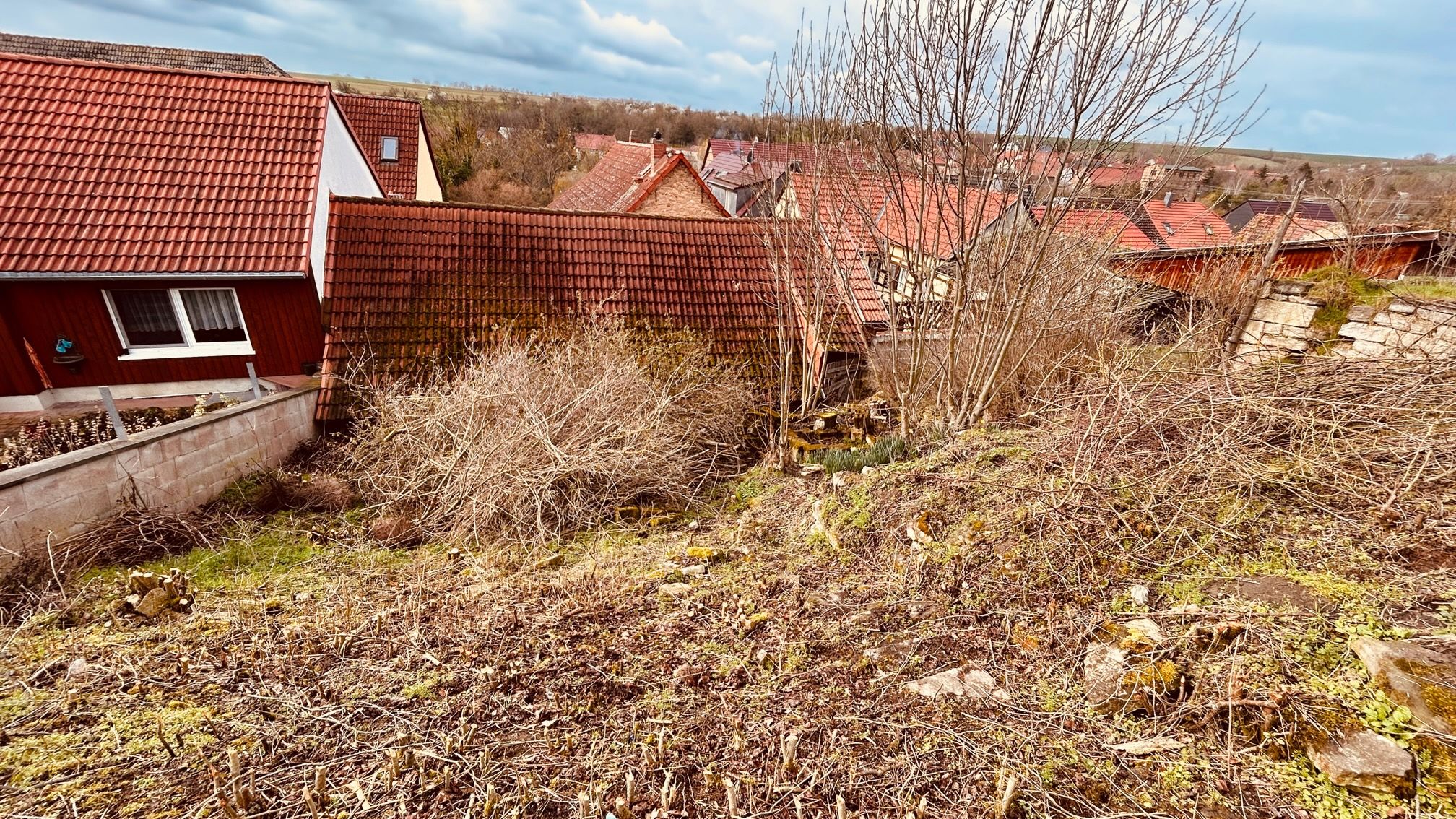 Immobilienmakler Erfurt: Gartengrundstück rückwärtig