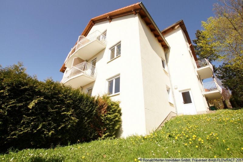 Immobilienmakler Erfurt: Rückansicht