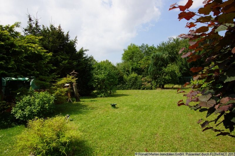Immobilienmakler Erfurt: gepflegter Garten