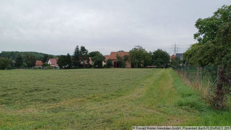 Immobilienmakler Erfurt: Grundstück mit Scheue von hinten
