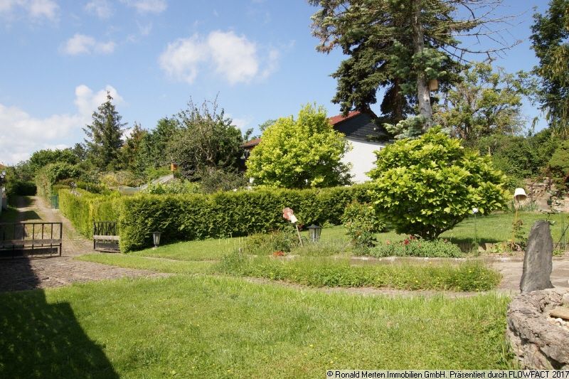 Immobilienmakler Erfurt: Garten Bild 3 - Zufahrt