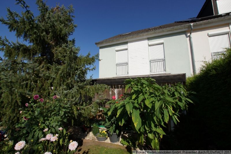 Immobilienmakler Erfurt: Rückansicht