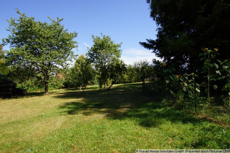 Immobilienmakler Erfurt: großer Garten
