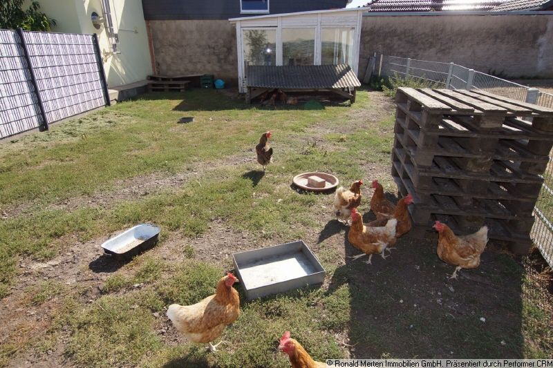 Immobilienmakler Erfurt: Garten Hühnerbereich