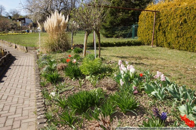Immobilienmakler Erfurt: Garten