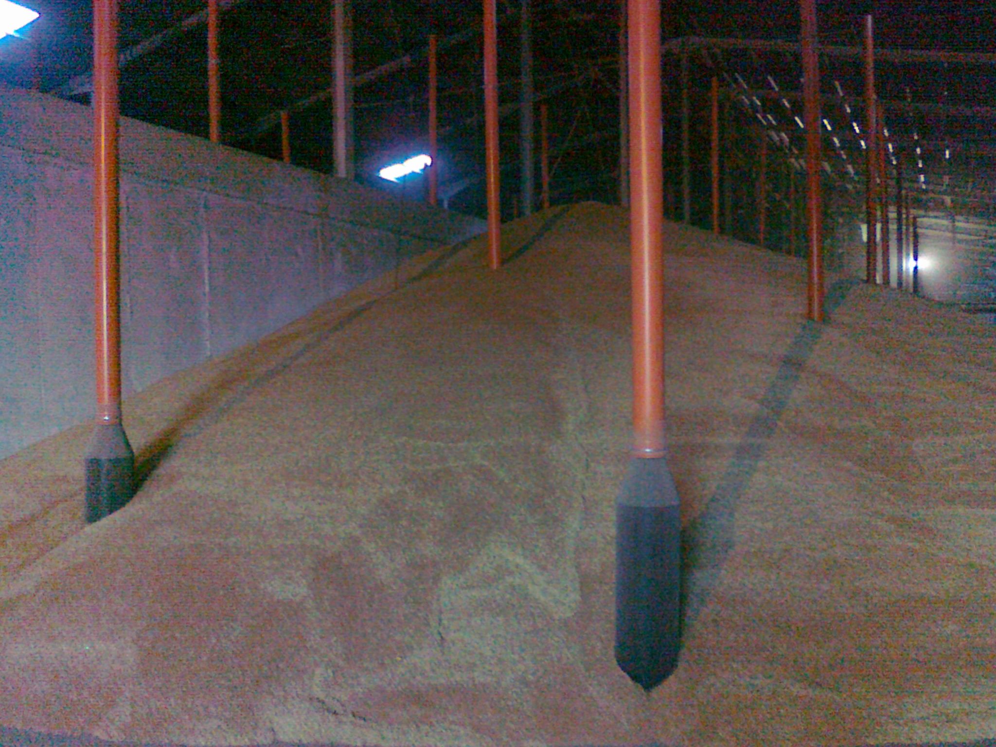 Bildbeschreibungstext