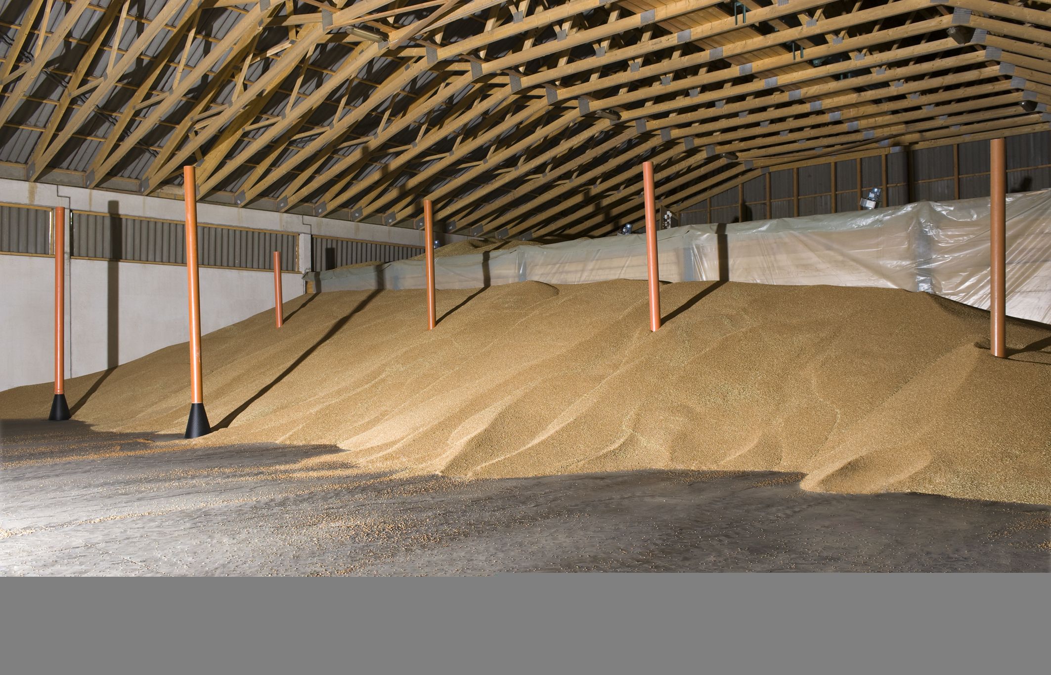 Bildbeschreibungstext