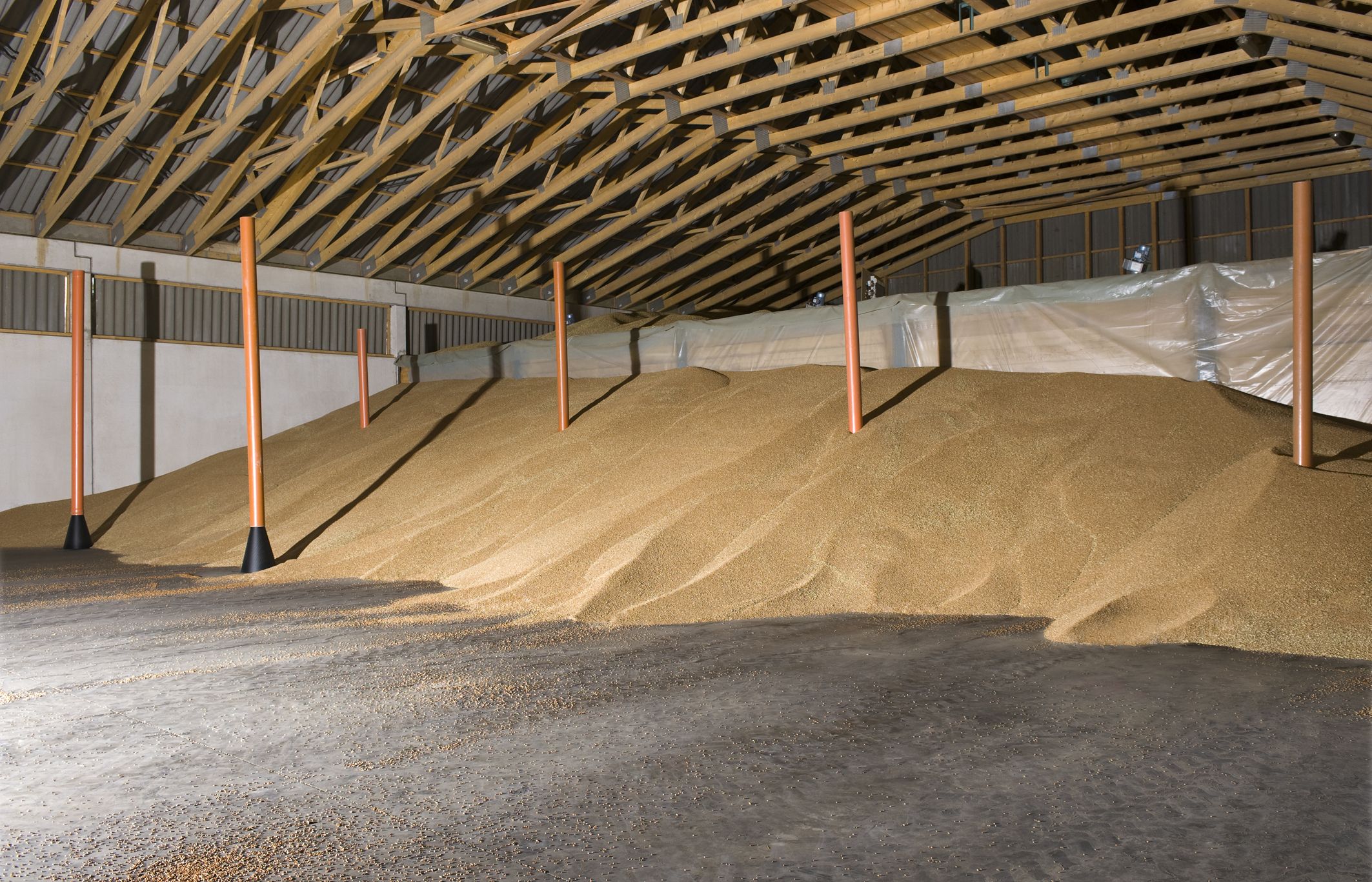 Bildbeschreibungstext