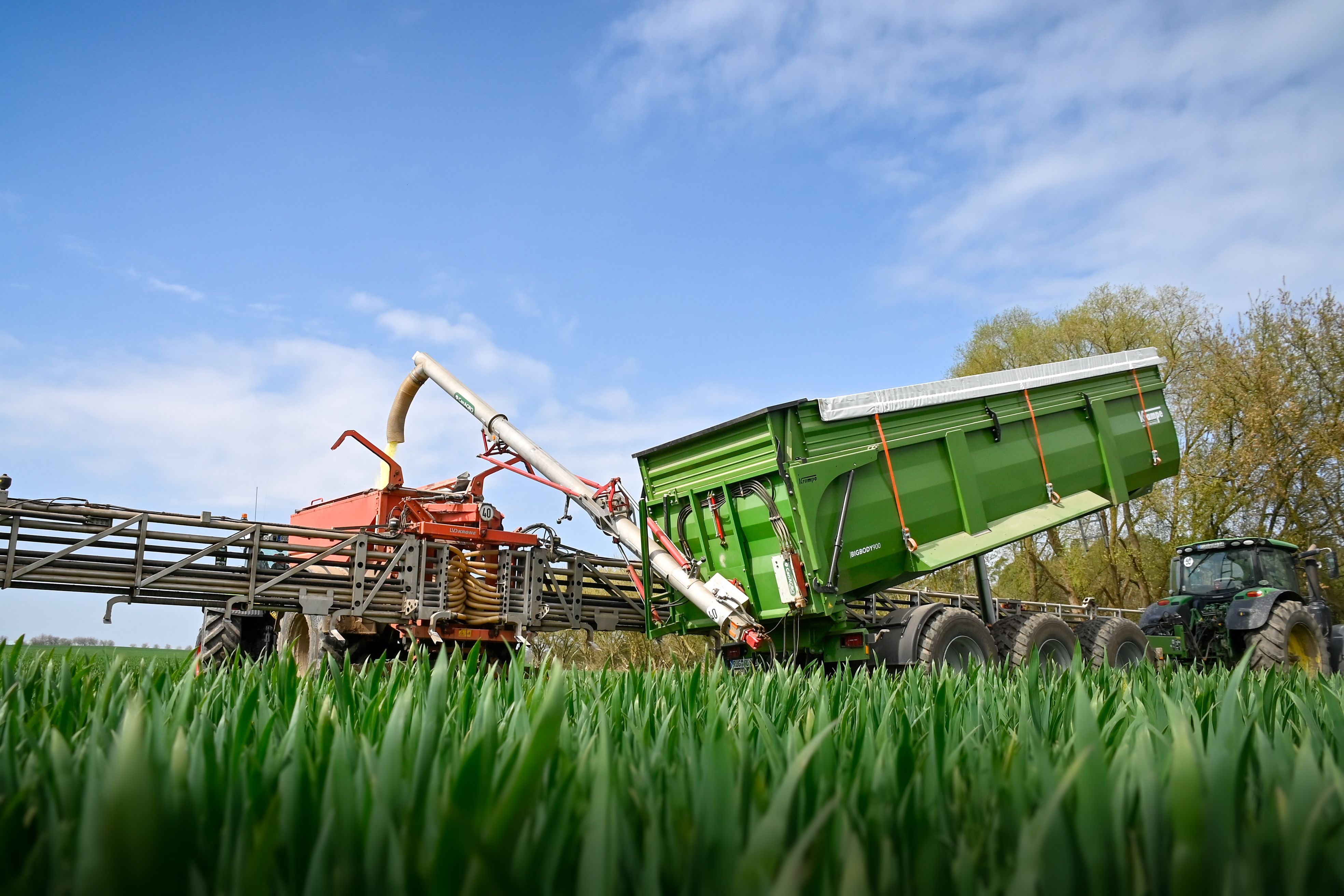 Image description text