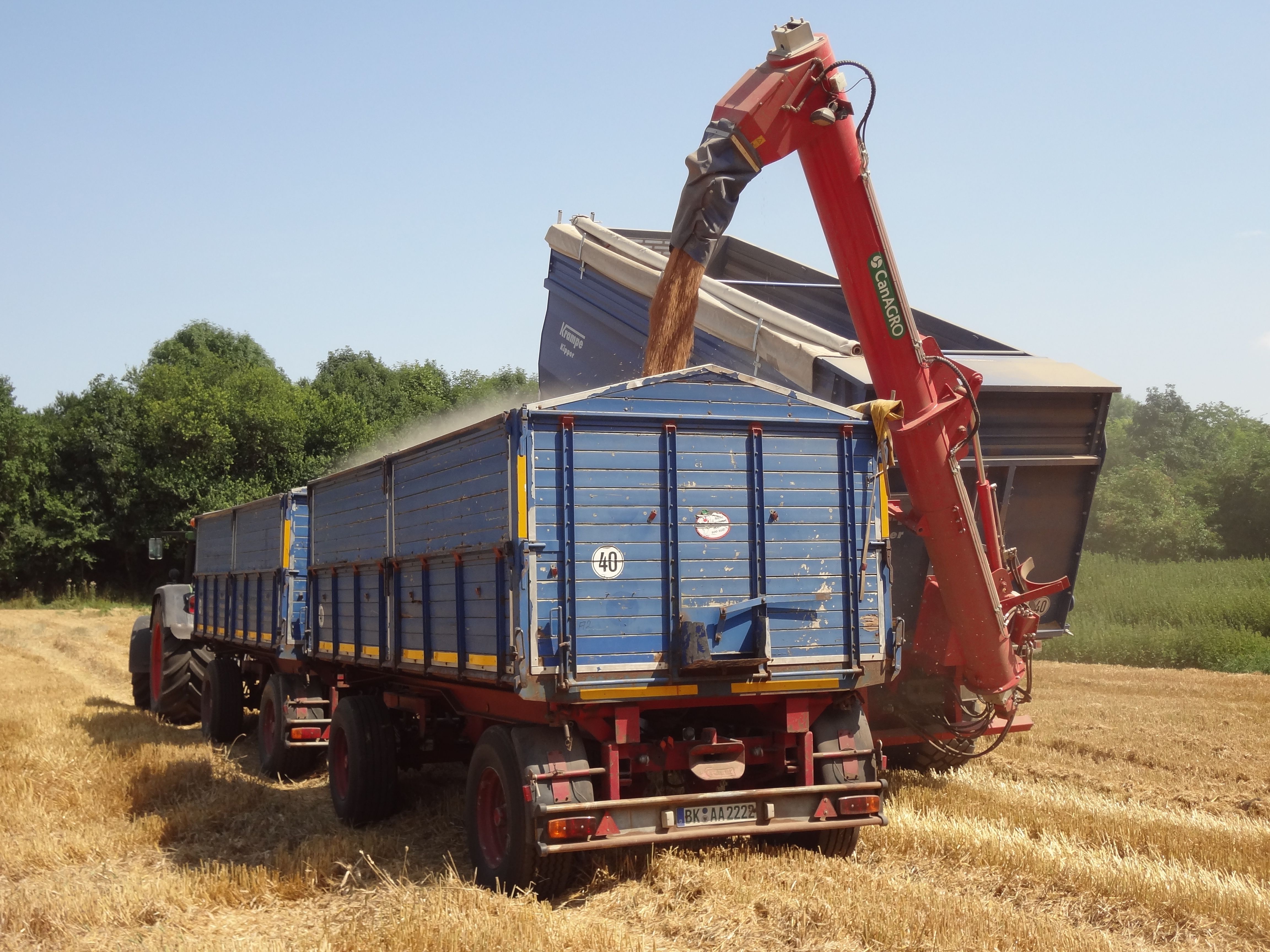 Image description text