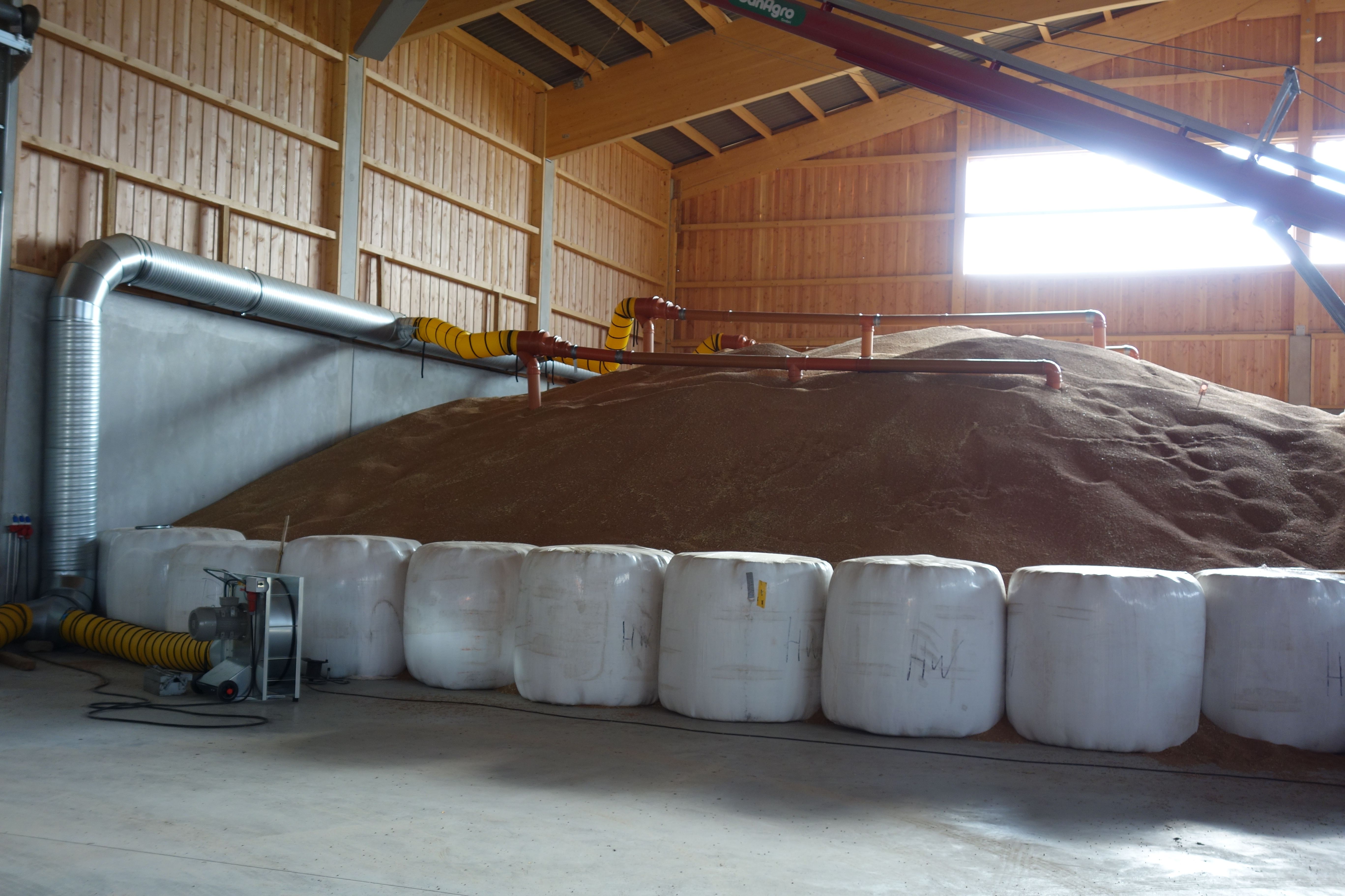 Bildbeschreibungstext