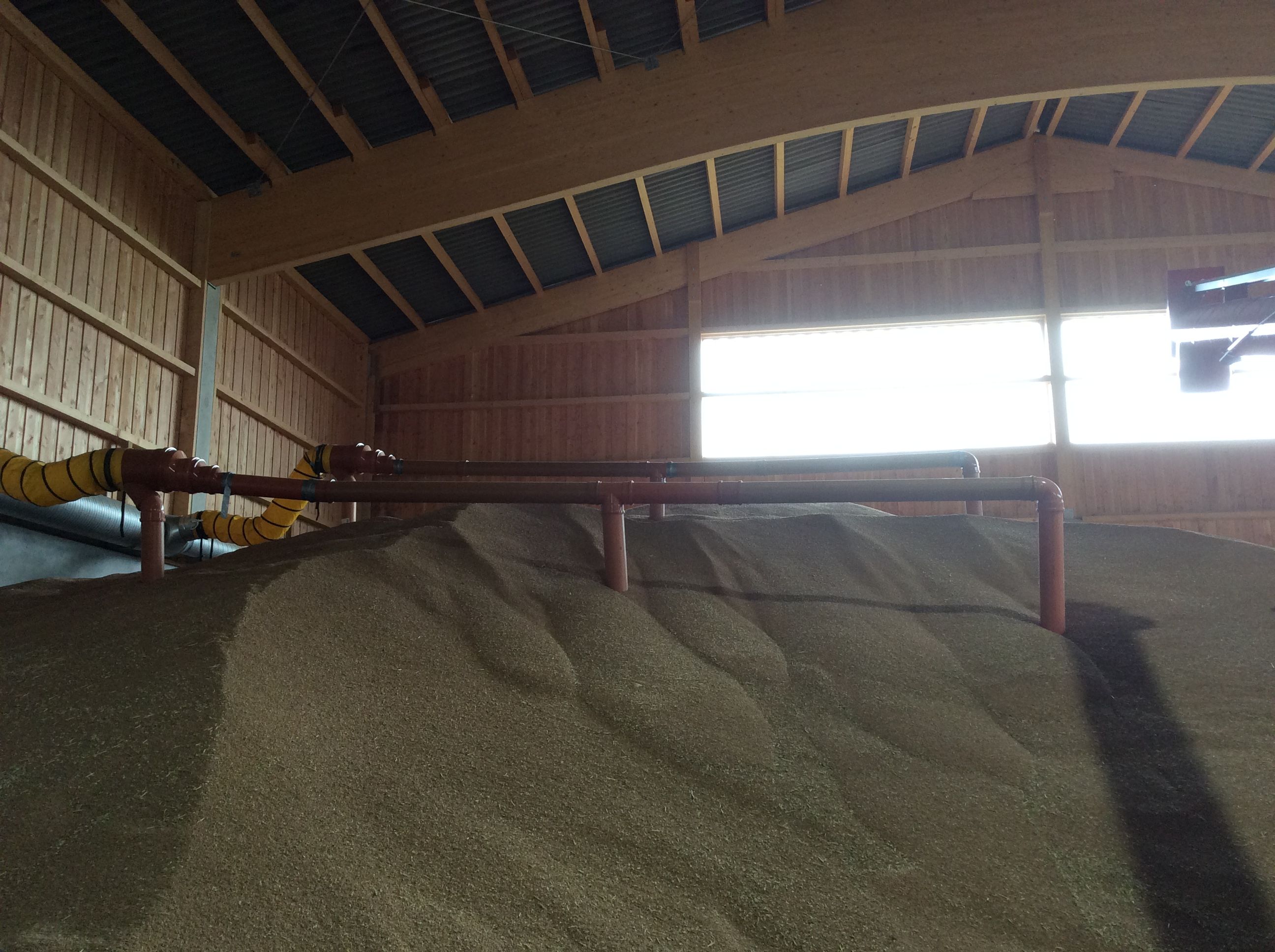 Bildbeschreibungstext