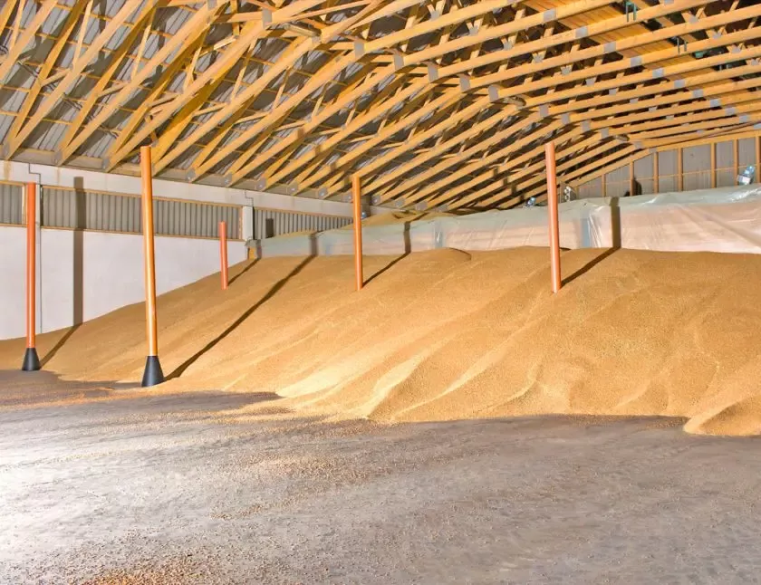 Texto de descripci&oacute;n de la imagen