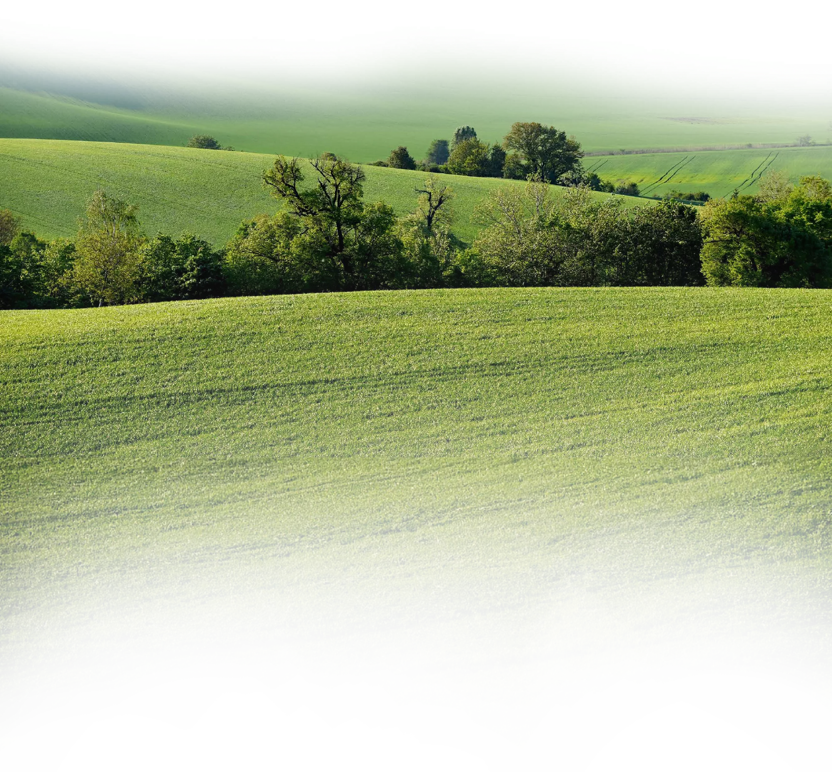 Bildbeschreibungstext