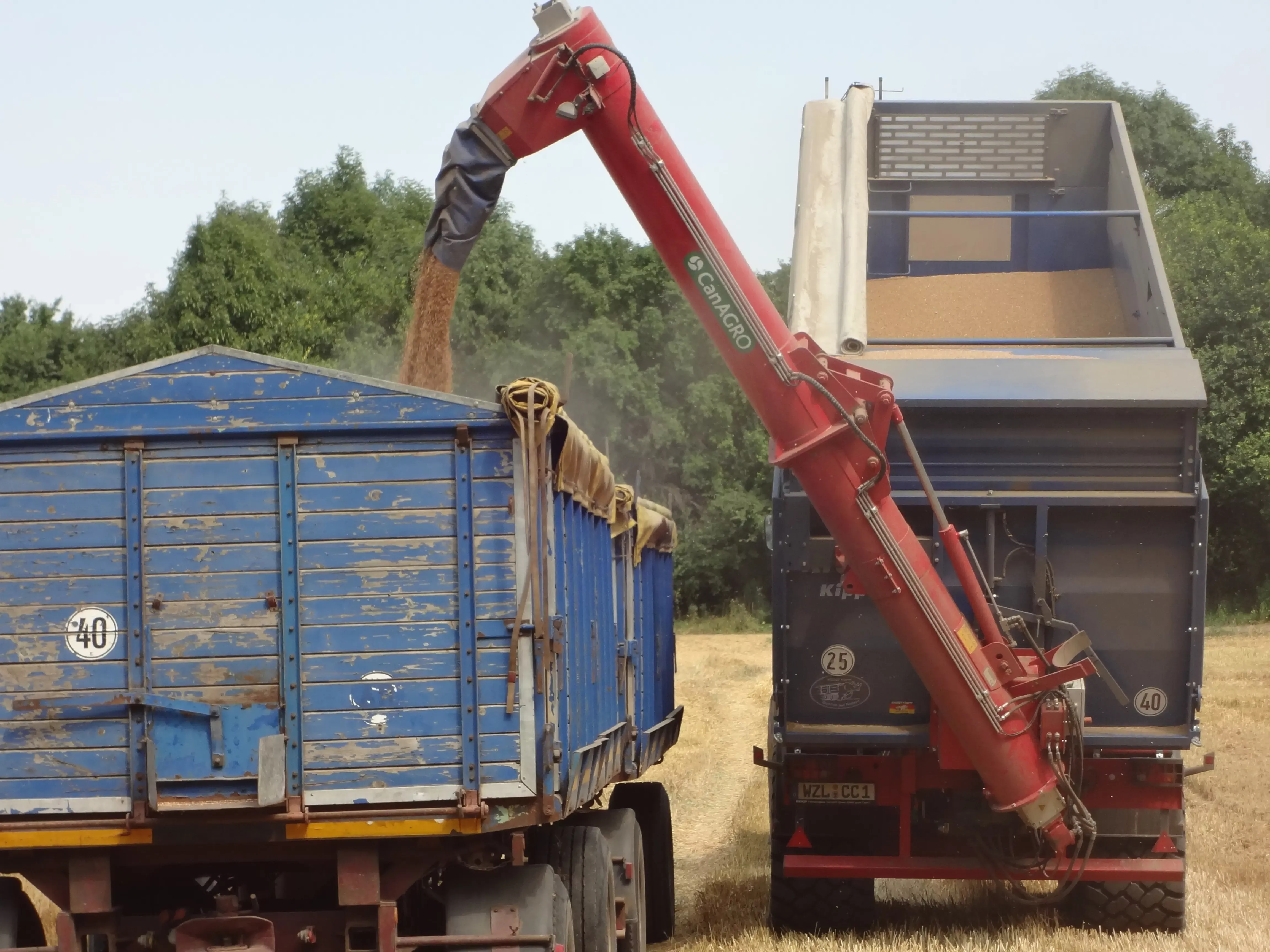 Texto de descripci&oacute;n de la imagen