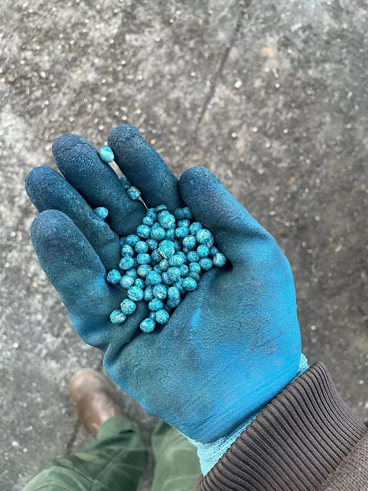 Bildbeschreibungstext