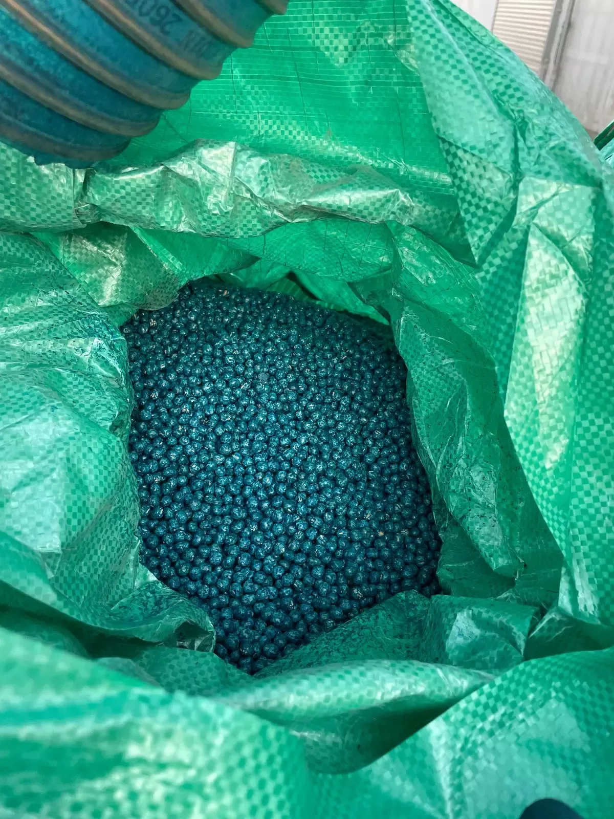 Bildbeschreibungstext