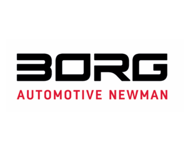 Stellenangebot Logo Unternehmen - BORG Automotive GmbH